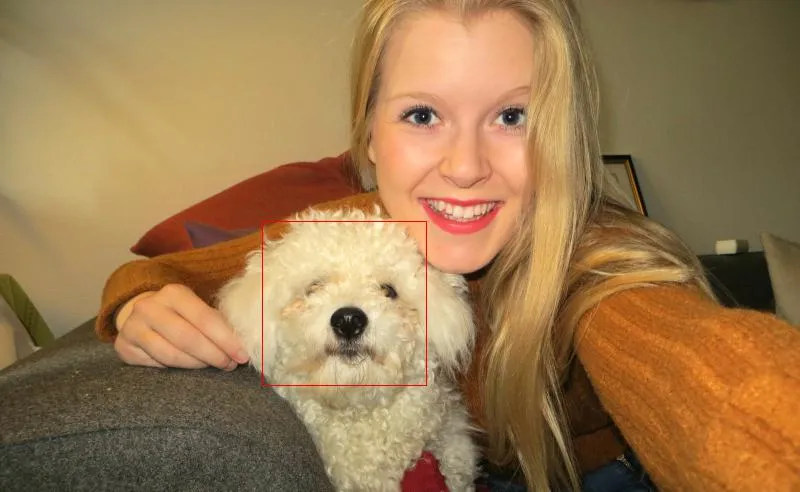 Face detection with php
